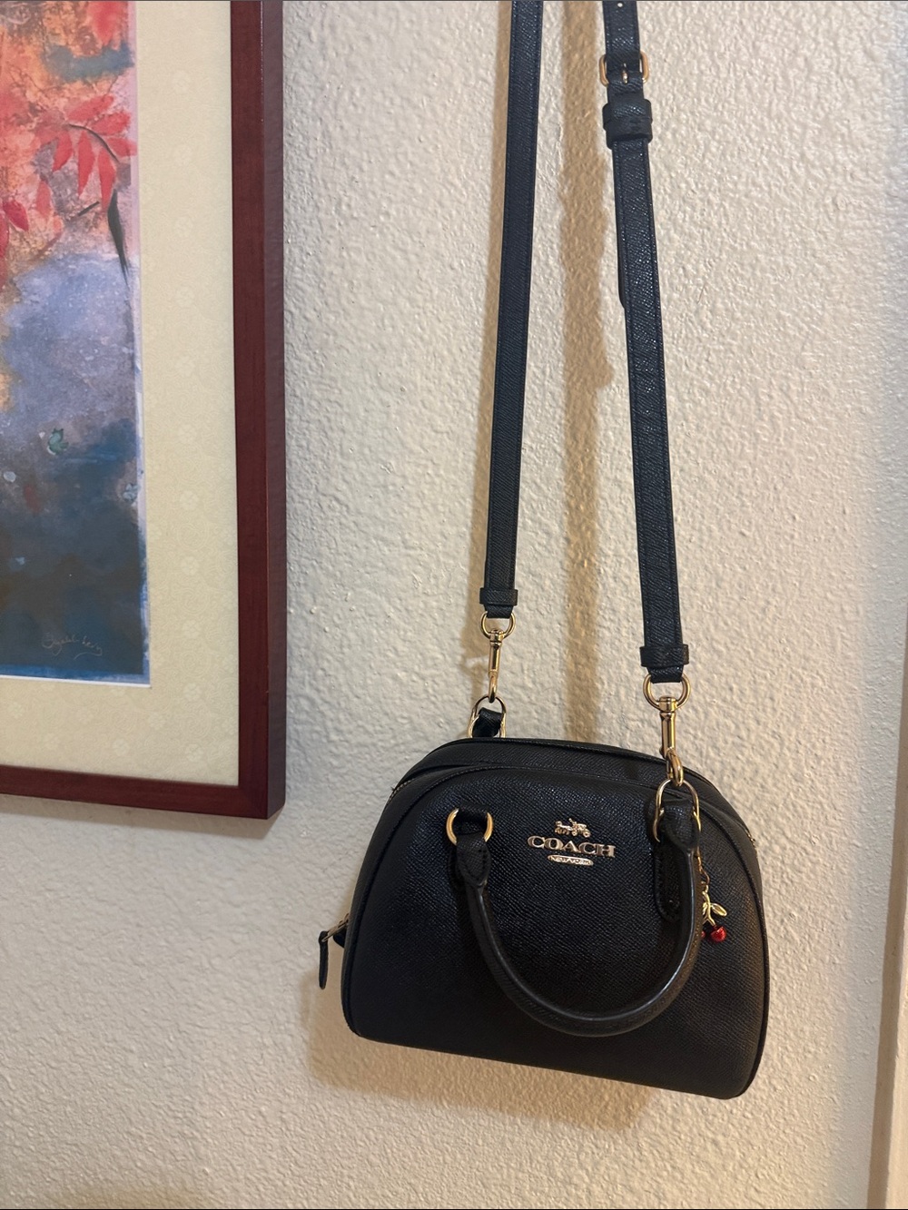 Coach mini Sydney Hand/CrossBody bag - Picture 15 of 16